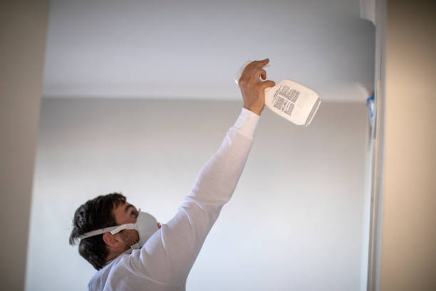 Best Mold Remediation Experts  in Thorp, WI