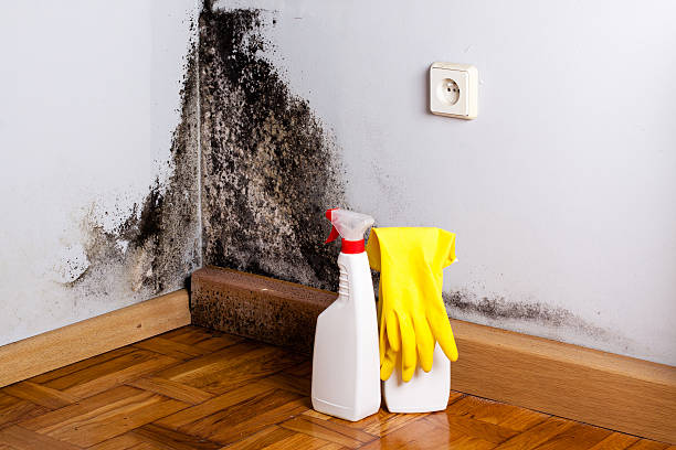 Water Damage Restoration in Thorp, WI